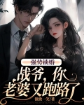 免费阅读强势锁婚