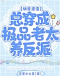 快穿虐渣:总穿成极品老太养反派 小说