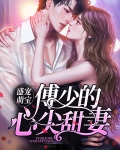 盛世婚宠:傅少宠妻成瘾