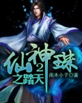 仙神珠2之踏天 南木小子