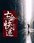 亡命快递豆瓣