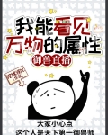 我能看见万物的属性[御兽直播]免费