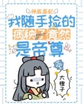 神医毒妃：我随手捡的病秧子竟然是帝尊