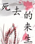 生来死去都是幻