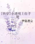 [快穿]小透明上位手册