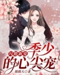 闪婚新爱：季少的心尖宠