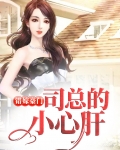 错嫁豪门：司总的小心肝