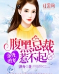 腹黑总裁惹不起全文免费阅读全文