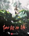 仙朝神捕小说