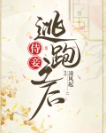 侍妾逃跑之后 凌风起