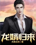 龙婿归来 阿比
