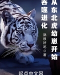 吞噬进化：从东北虎幼崽开始