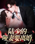 陆少的离婚罪妻免费