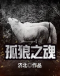 孤之狼小说作品集