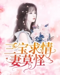 三宝求情莫要怪