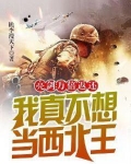 亮剑：万倍返还，我真不想当西北王