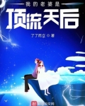 我的老婆是顶流天后 吞噬文学