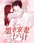 墨爷宠妻三十六计
