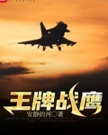 王牌战鹰