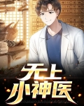 无上神医电视剧免费观看