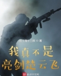 我真不是亮剑楚云飞TXT下载