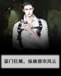 豪门狂婿，纵横都市风云