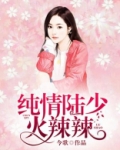纯情陆少火辣辣