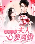 隐婚三年夫人一心要离婚小说全文阅读