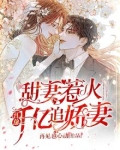 甜妻惹火：江总千亿追娇妻