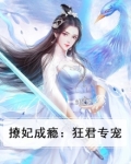 撩妃成瘾：狂君专宠