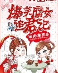 爆笑腐女追君记