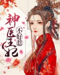 神医王妃不好惹