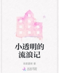 小辉流浪记