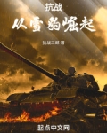 抗战：从雪豹崛起