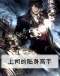 上司的贴身高手