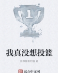 我真没想投篮 小说
