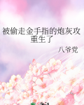 被偷走金手指的炮灰攻重生了