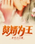 赘婿为王免费阅读