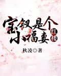 宝钗是个小福妻[红楼]
