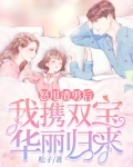 怒甩渣男后，我携双宝华丽归来！