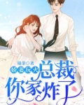 娇妻玩火：总裁你家炸了