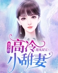 龙凤双宝：墨少的高冷小甜妻