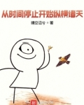 从时间停止开始纵横诸天