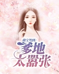 萌宝驾到:爹地太嚣张