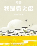 知否:我是袁文绍TXT