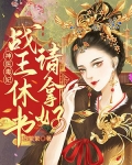 神医毒妃战王休书请拿好全文免费阅读