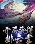 开局获得排云掌TXT