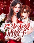 不爱请放手小说乔晚