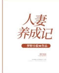 人妻养成记免费阅读全文