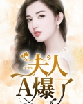 秦爷霸宠.夫人休想逃免费